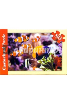 Puzzle-80. Коралловые рифы в ассортименте, 16 штук (A-08514-R) Puzzle-80. Коралловые рифы в ассортименте, 16 штук (A-08514-R)