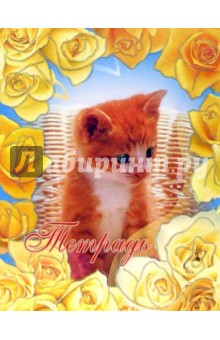 Тетрадь 48 листов клетка (ТКБ8481129 Котенок в розах) Тетрадь 48 листов клетка (ТКБ8481129 Котенок в розах)