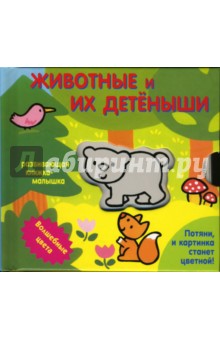 Волшебные Цвета. Животные и их детеныши обложка книги Волшебные Цвета. Животные и их детеныши обложка книги