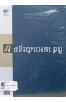 Папка на 80 файлов (F80А) Папка на 80 файлов (F80А)