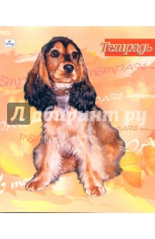 Тетрадь 48 листов, линейка (ТЛ748681,82,83,84) Тетрадь 48 листов, линейка (ТЛ748681,82,83,84)