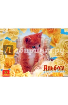 Альбом для рисования 24 листа. Котенок в розах (А124230) Альбом для рисования 24 листа. Котенок в розах (А124230)