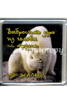 Магнитные подарочки. Выбросить дурь из головы не трудно, но жалко! Магнитные подарочки. Выбросить дурь из головы не трудно, но жалко!