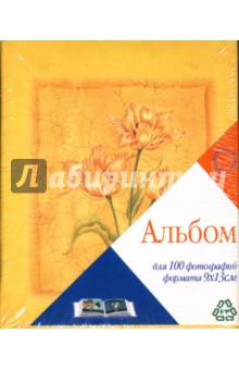 Фотоальбом LM-3R100 Fresco (4513) Фотоальбом LM-3R100 Fresco (4513)