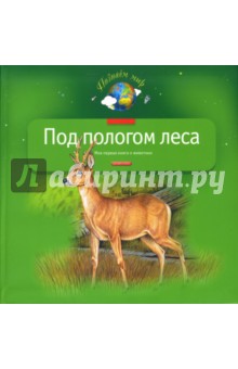 Под пологом леса. Моя первая книга о животных обложка книги Под пологом леса. Моя первая книга о животных обложка книги