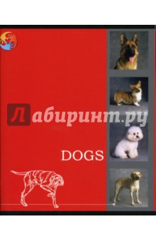 Тетрадь 48 листов клетка (ГА-017) Тетрадь 48 листов клетка (ГА-017)