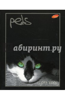 Тетрадь 48 листов Коты на черном (3700/4) Тетрадь 48 листов Коты на черном (3700/4)