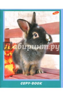 Тетрадь 96 листов (3708/4) Тетрадь 96 листов (3708/4)