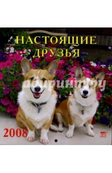 Календарь 2008 Настоящие друзья (30703) Календарь 2008 Настоящие друзья (30703)