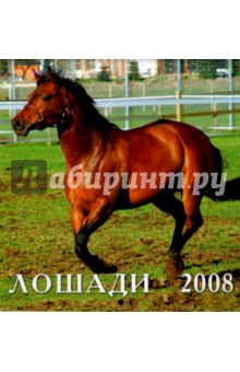 Календарь 2008 Лошади (30704) Календарь 2008 Лошади (30704)