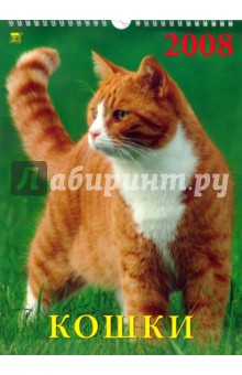 Календарь 2008 Кошки (18705) Календарь 2008 Кошки (18705)