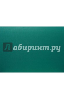 Папка картонная (2074001PL-06) на липучке (зеленая) Папка картонная (2074001PL-06) на липучке (зеленая)