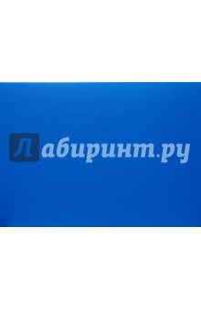 Папка картонная (2072001PL-10) на липучке (голубая) Папка картонная (2072001PL-10) на липучке (голубая)