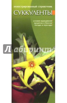 Суккуленты - Наталья Барковская