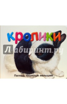 Погладь пушистых малышей! Кролики обложка книги Погладь пушистых малышей! Кролики обложка книги