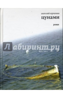 Анатолий Курчаткин - Цунами обложка книги Анатолий Курчаткин - Цунами обложка книги