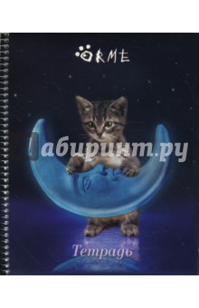 Тетрадь 80л. OR53-55 (Orme) Тетрадь 80л. OR53-55 (Orme)