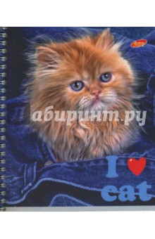 Тетрадь 96л. 3253/4 (I love cat) Тетрадь 96л. 3253/4 (I love cat)