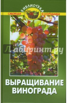 Выращивание винограда - А. Эксузян