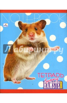 Тетрадь 48 листов клетка (ТКЛ8481474) Хомяк Тетрадь 48 листов клетка (ТКЛ8481474) Хомяк