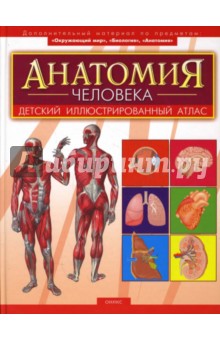 Александр Мирер - Анатомия человека обложка книги Александр Мирер - Анатомия человека обложка книги