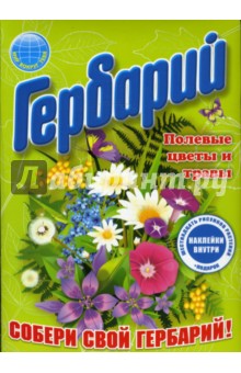 Гербарий: Полевые цветы и травы Гербарий: Полевые цветы и травы