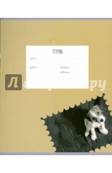 Тетрадь 12 листов (АА-042) клетка Тетрадь 12 листов (АА-042) клетка