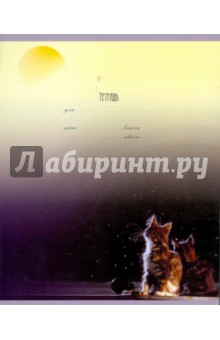 Тетрадь 12 листов (АА-044) клетка Тетрадь 12 листов (АА-044) клетка