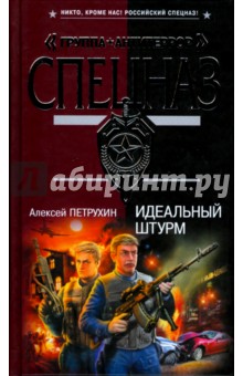 Идеальный штурм - Алексей Петрухин