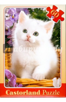 Puzzle-60. Белый котенок (В-06335) Puzzle-60. Белый котенок (В-06335)