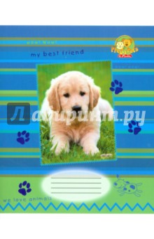 Тетрадь 24 листа (HZ6/4) Herlitz Pretty Pets Тетрадь 24 листа (HZ6/4) Herlitz Pretty Pets