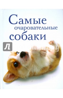 Самые очаровательные собаки