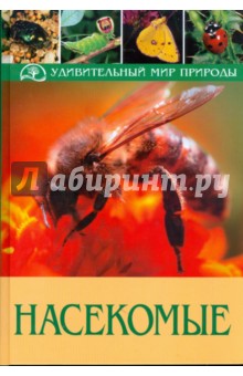 Хайко Белльманн - Насекомые обложка книги Хайко Белльманн - Насекомые обложка книги