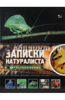 Татьяна Жабская - Мир беспозвоночных обложка книги Татьяна Жабская - Мир беспозвоночных обложка книги