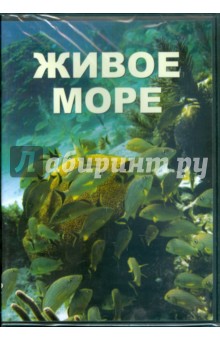 Живое море (DVDpc) Живое море (DVDpc)