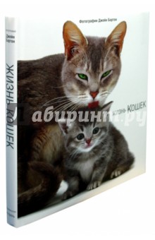 Джейн Бартон - Жизнь кошек обложка книги Джейн Бартон - Жизнь кошек обложка книги