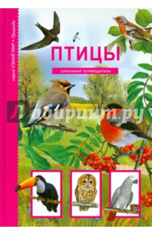 Александр Бугаев - Птицы обложка книги Александр Бугаев - Птицы обложка книги