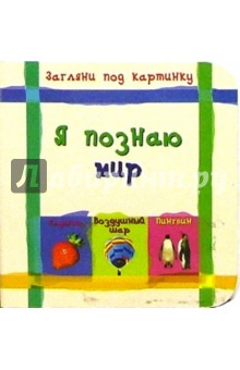 Я познаю мир. Загляни под картинку