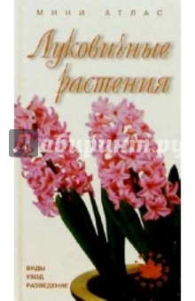 Луковичные растения - Ольга Жакова