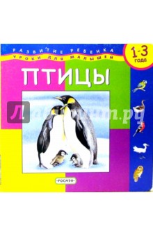 Птицы обложка книги Птицы обложка книги