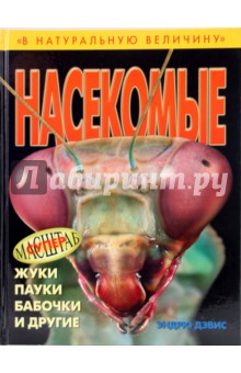 Насекомые: жуки, пауки, бабочки и другие - Эндрю Дэвис