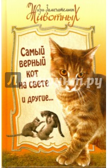 Куприн, Житков, Киплинг, Свинцов, Лазаренко - Самый верный кот на свете и другие... обложка книги Куприн, Житков, Киплинг, Свинцов, Лазаренко - Самый верный кот на свете и другие... обложка книги
