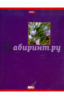 Тетрадь 48 листов (линейка) Элементы природы (48Т5Свл2) Тетрадь 48 листов (линейка) Элементы природы (48Т5Свл2)