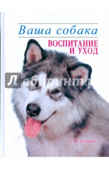 Алексей Целлариус - Ваша собака. Воспитание и уход обложка книги Алексей Целлариус - Ваша собака. Воспитание и уход обложка книги
