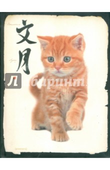 Книжка записная 64 листа (48108) Книжка записная 64 листа (48108)