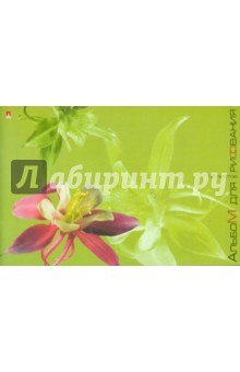 Альбом для рисования 16 листов (1-15-177) Альбом для рисования 16 листов (1-15-177)