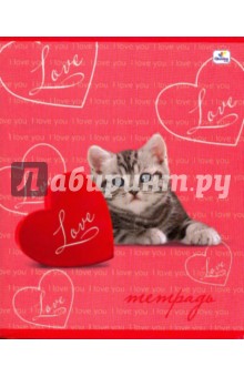 Тетрадь 96 листов клетка. I love you (щенки и котята) (ТКЛ962312,13,14,15,16) Тетрадь 96 листов клетка. I love you (щенки и котята) (ТКЛ962312,13,14,15,16)