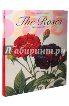 The Roses. The Complete Plates - Hinz, Schulz