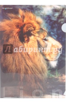 Папка-уголок (плотная) "Lion" (211010-13) Папка-уголок (плотная) "Lion" (211010-13)