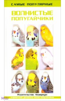 Самые популярные волнистые попугайчики - Тео Винс